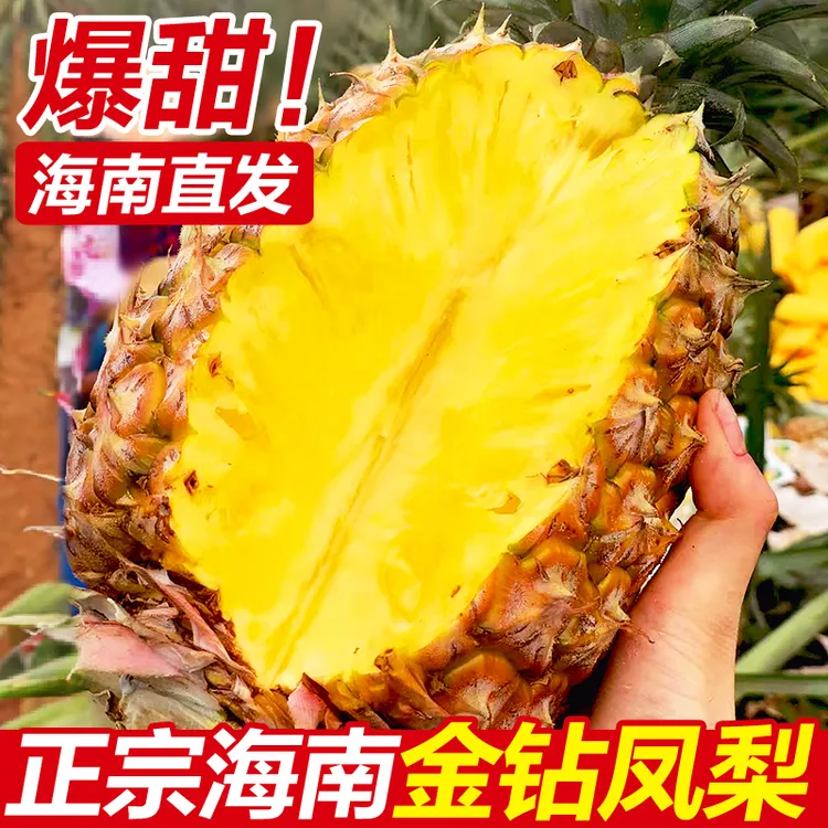 海南金钻凤梨新鲜水果当季应季正宗一级菠萝手撕5斤大果整箱特产