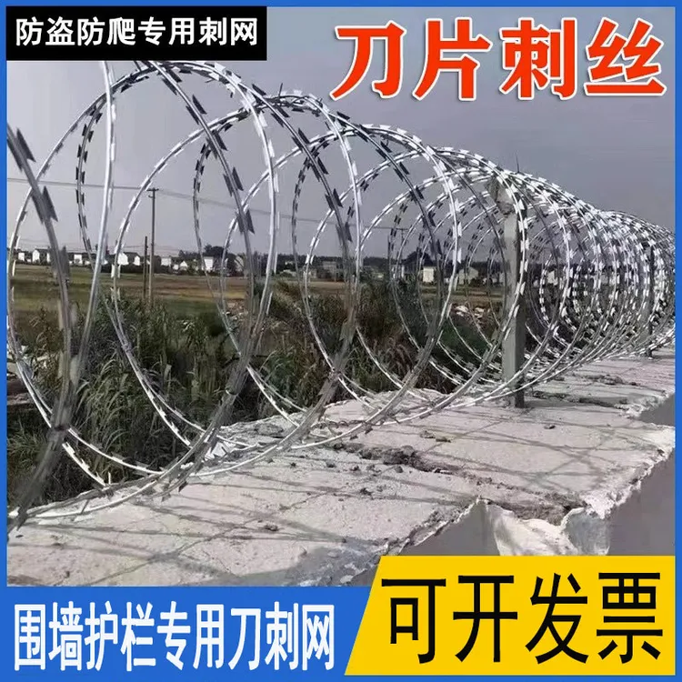 铁蒺藜刀片刺绳铁网不锈钢防爬刺网带刺结实耐用防盗围墙网绳镀锌