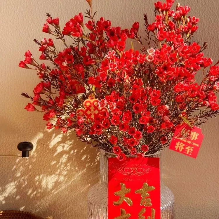 澳洲腊梅鲜花云南基地直发粉色插水养年宵鲜切花耐寒花卉盆栽