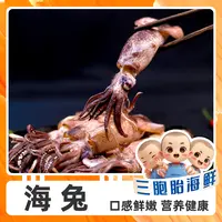 【顺丰发货】③美味新鲜全籽海兔 10只/包 *5（到手总共50只）