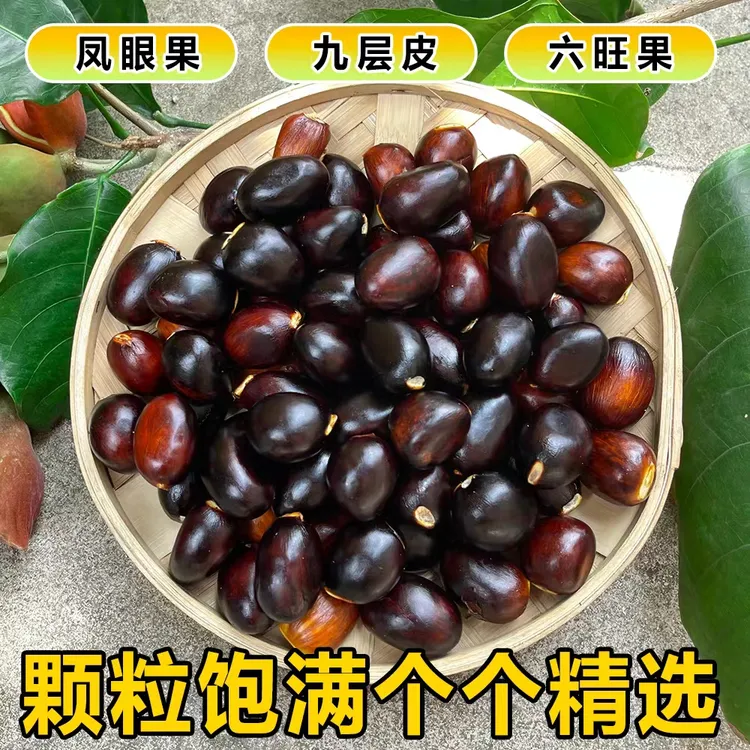 广西凤眼果新鲜九层皮现摘萍婆果富贵子孕妇水果稀奇古怪水果