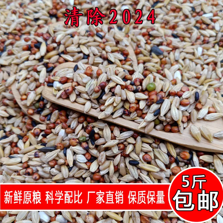 金冠鸽粮清除2024款5斤装鸽子换羽期使用