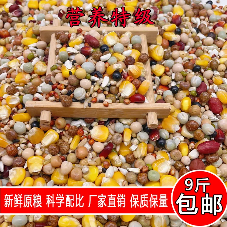 金冠精品营养特级9斤小包装鸽子粮鸽粮鸽子食鸟食鸟粮种鸽包邮