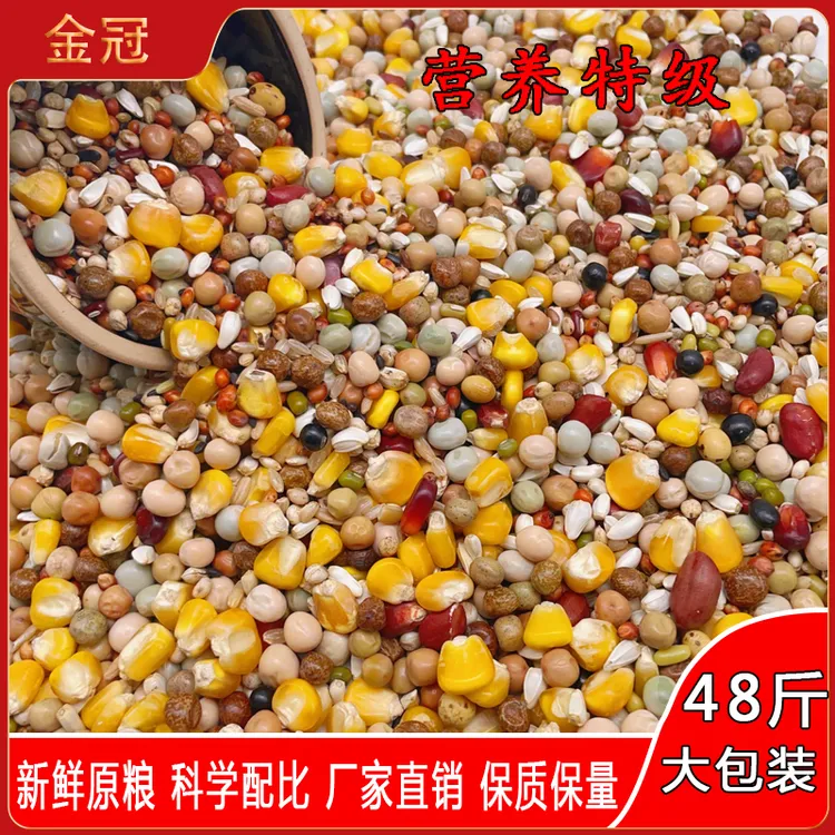 金冠精品营养特级48斤大包装鸽子粮鸽粮鸽子食鸟食鸟粮种鸽包邮
