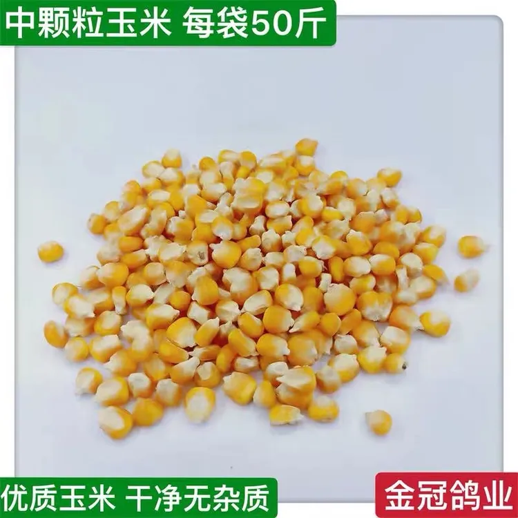 金冠鸽粮中颗粒玉米50斤装