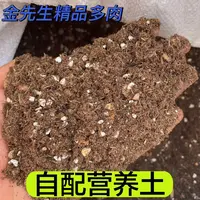 配置营养土（50%颗粒）金先生精品多肉9.6斤适用于多肉植物