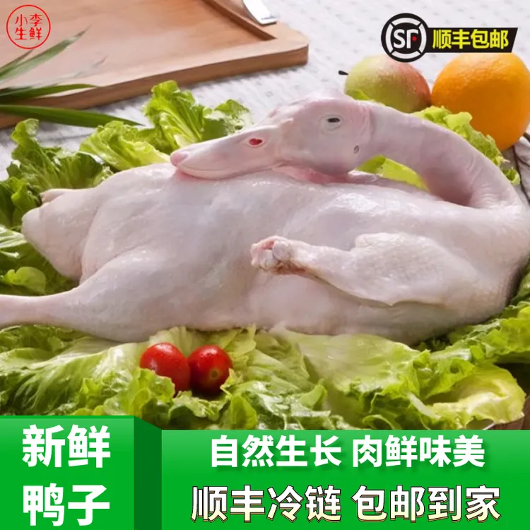 QQ  2只鸭子净重4.7斤新鲜鸭肉白条鸭笨鸭鸭食材去掌冷冻发货生鲜