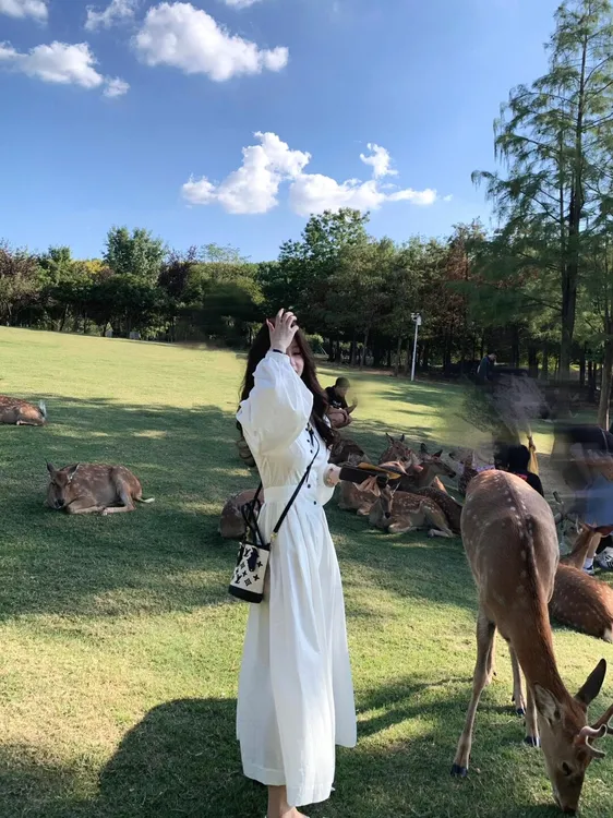 2025早秋季新款法式气质圆领收腰显瘦不规则单排扣纯色连衣裙女潮