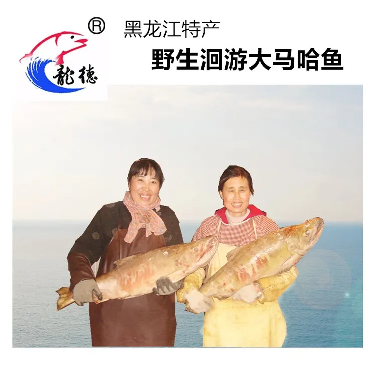 龙德整条冷冻大马哈鱼（公鱼） 新鲜冷冻未腌制 黑龙江特产