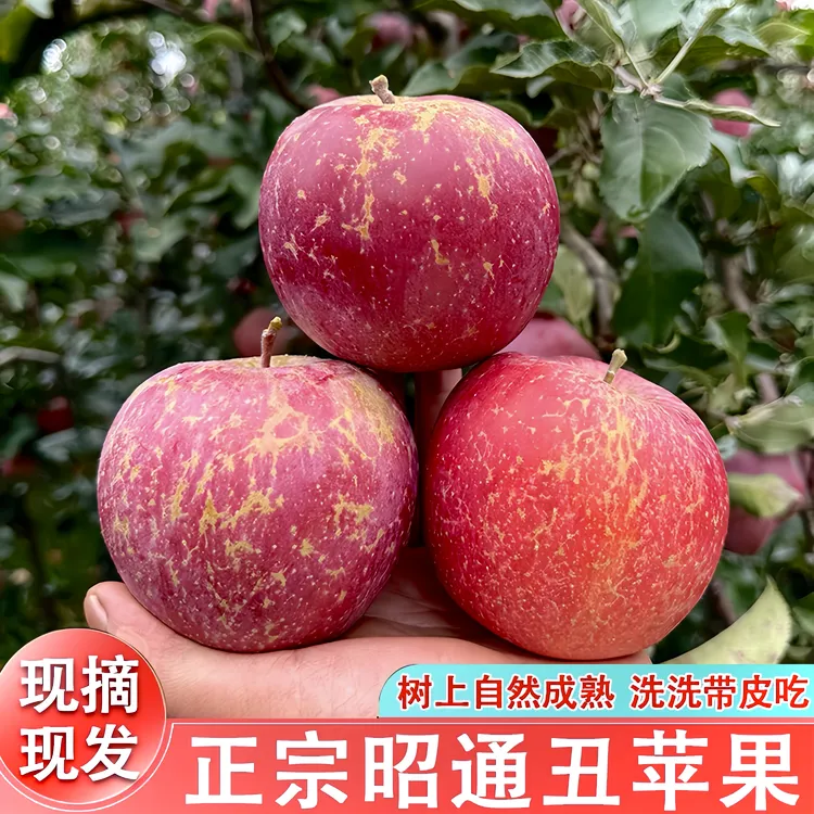 正宗云南昭通冰糖心丑苹果脆甜多汁新鲜水果农产品整箱批发2斤起