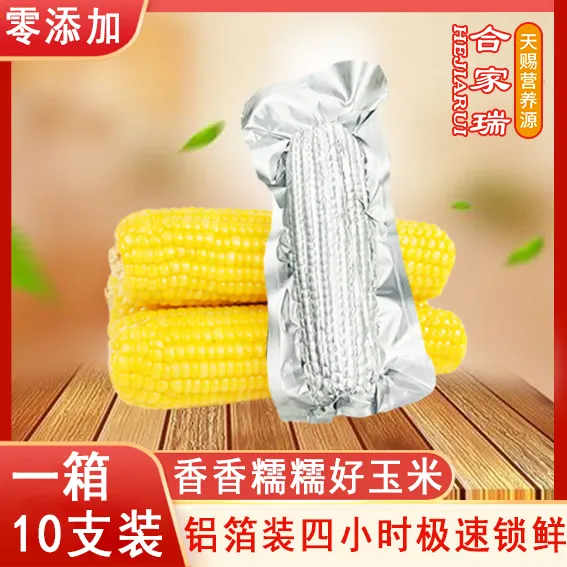 玉米粘糯玉米黄甜糯玉米低卡真空装熟玉米东北黏糯【10穗】鲜糯玉米