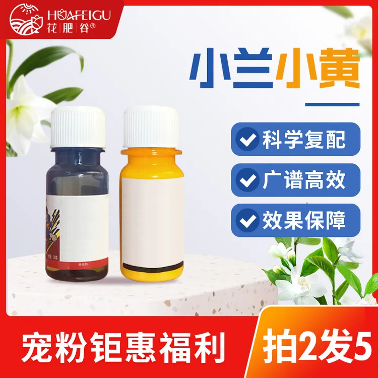 【小兰小黄】花肥谷小兰小黄组合多肉花卉通用阳台治疗套餐