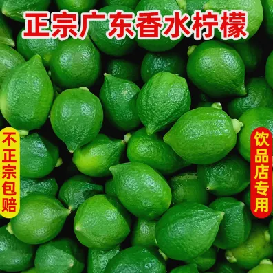 现摘正宗广东香水柠檬次一级果爆香型手打柠檬茶鸭屎香香水柠檬