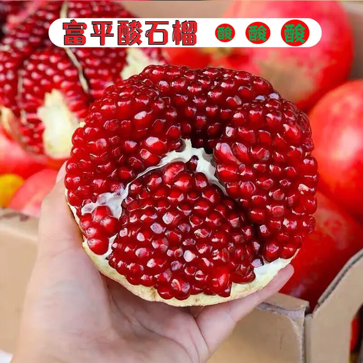 【高山酸石榴】陕西富平纯酸石榴9/5斤 新鲜采摘硬籽大颗粒饱满多汁
