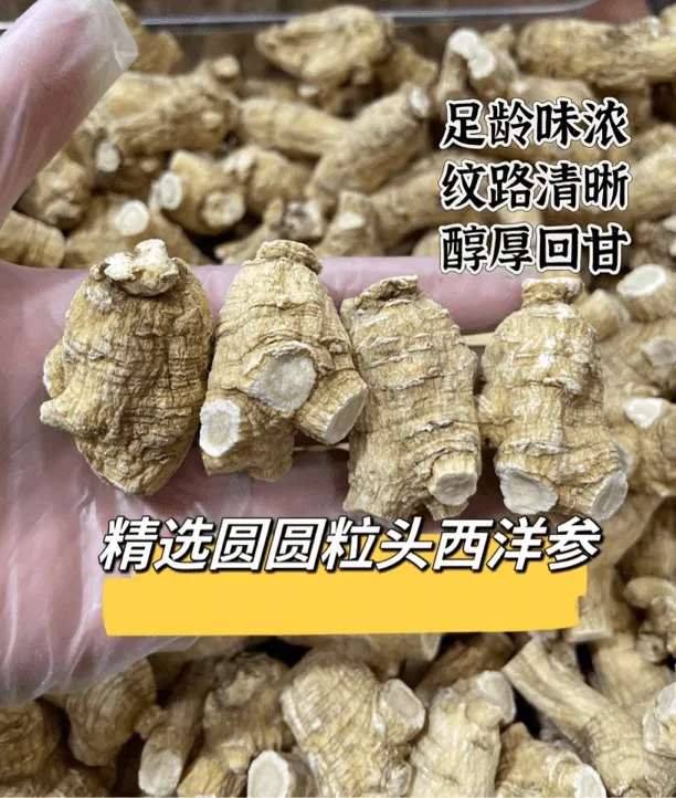 加拿大西洋参10克圆粒软质老参 纹理清晰 颜色深沉高质款可切片