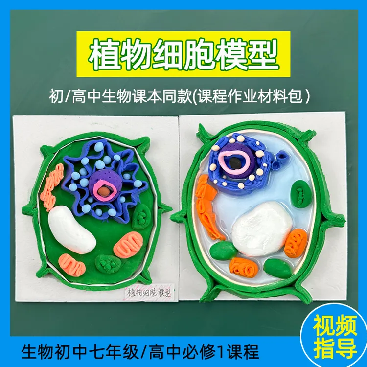 植物细胞模型生物初中高中手工DIY材料包真核生物动物细胞模型