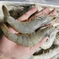 海虾天然海水养殖3斤食用食用盐冻3斤省内顺丰包邮