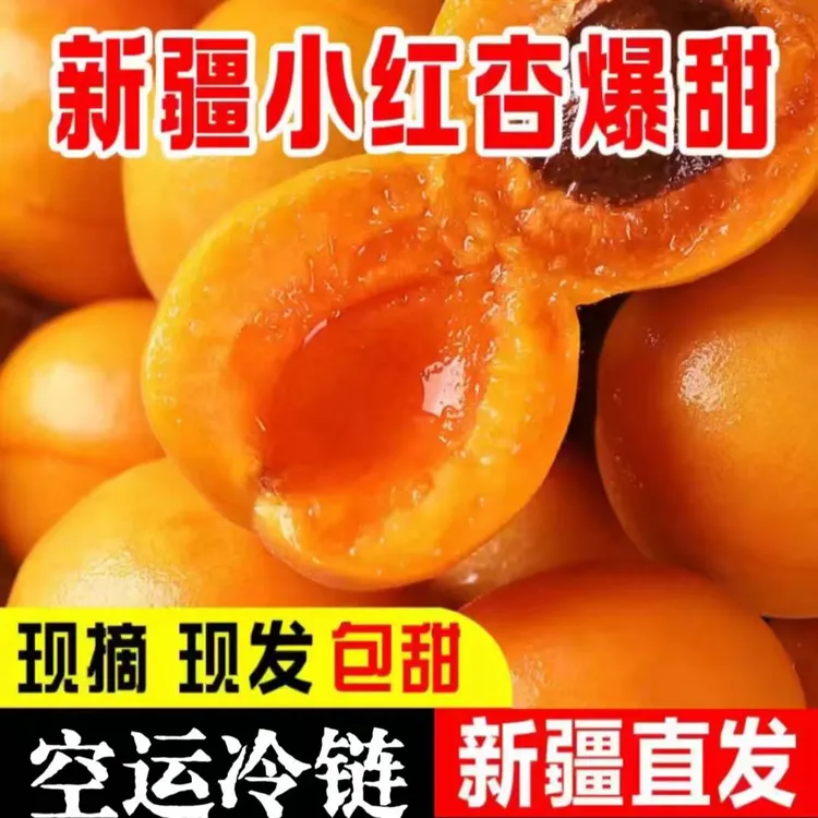 新疆阿克苏四团小红杏新鲜采摘多汁果香浓郁京东.顺丰空运包邮！