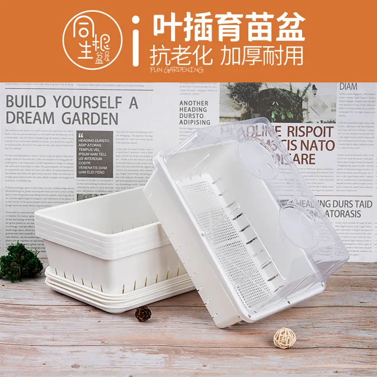 白色加厚多肉叶插育苗盆塑料生石花肉锥育苗盘小号播种多肉花盆
