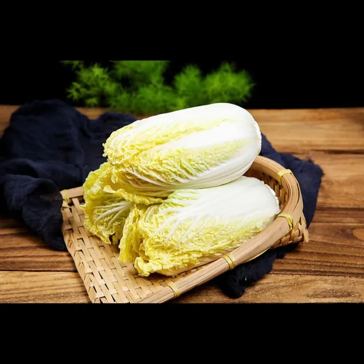 精品黄心娃娃菜新鲜应季清甜脆甜软糯香甜现砍现发