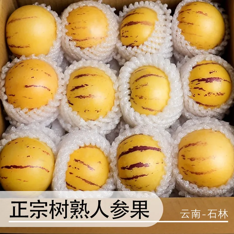 【真·树上熟】正宗云南石林人参果人生圆果黄肉产地直发应当季水果商品图