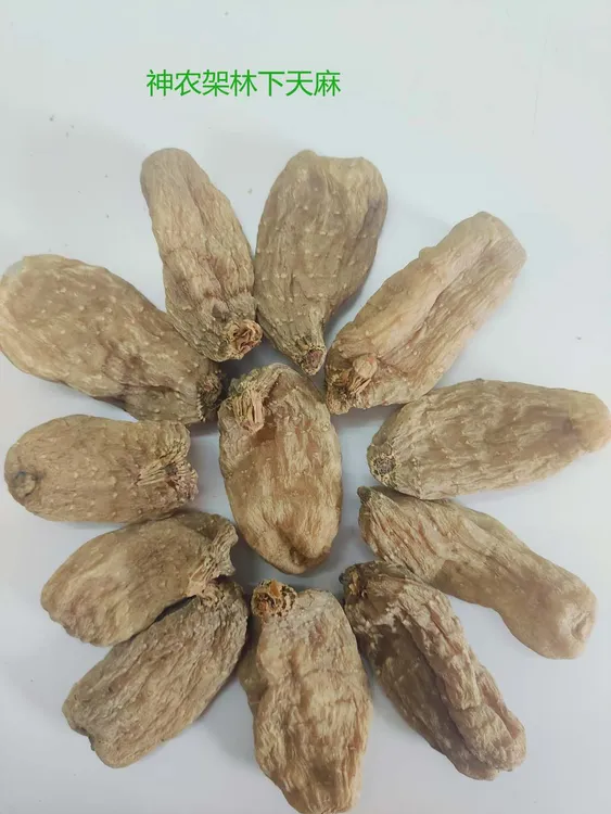 神农架高山林下天麻