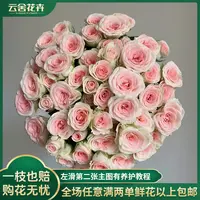 【云舍花卉】【心情】多头玫瑰全场任意满两单及以上鲜花包邮发货