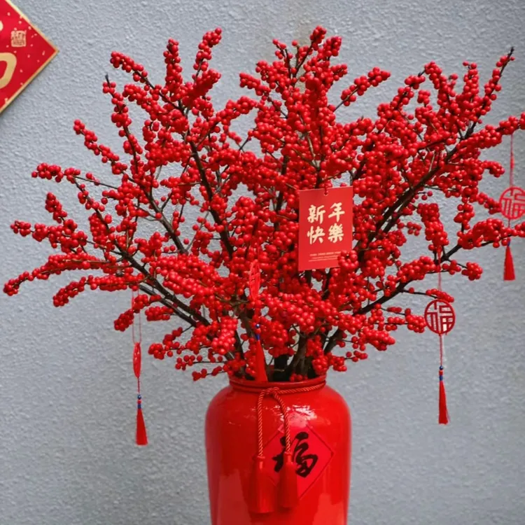【云舍花卉】50A【状元红】冬青3支【轻微掉果介意勿拍】