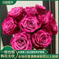 【云舍花卉】【方德荷冠】苏珊单头玫瑰10支任意2单包邮
