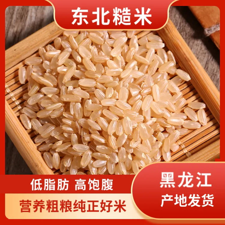谷稻瑶东北新糙米500g农家自种粗粮玄米低脂健身五谷杂粮发芽糙米