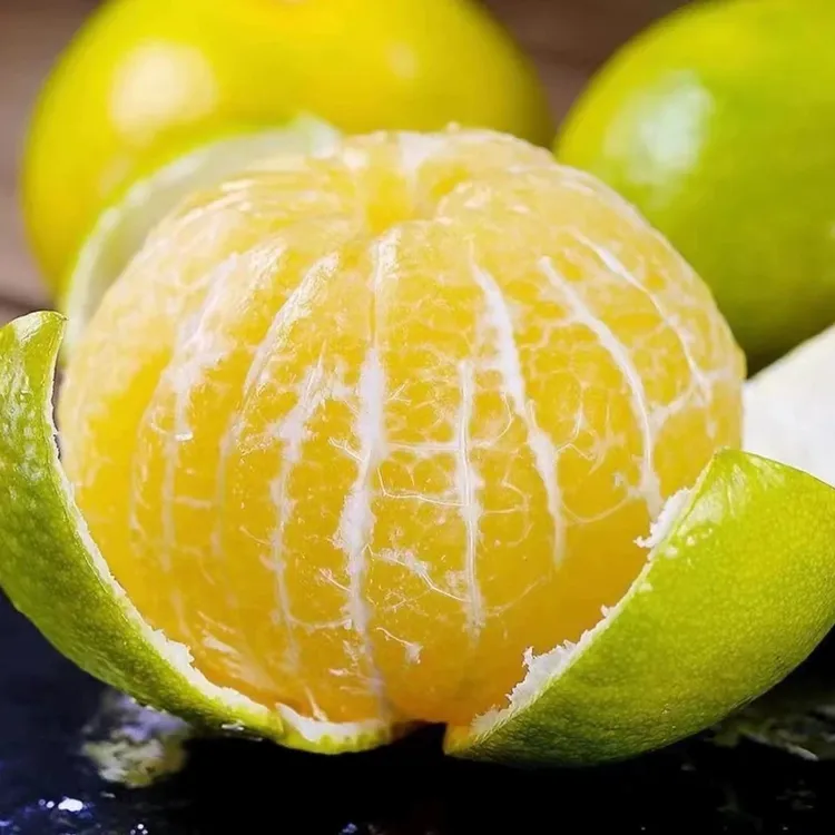 正宗广西皇帝柑5/9斤当季新鲜水果橘子柑橘砂糖桔子现货大果整箱