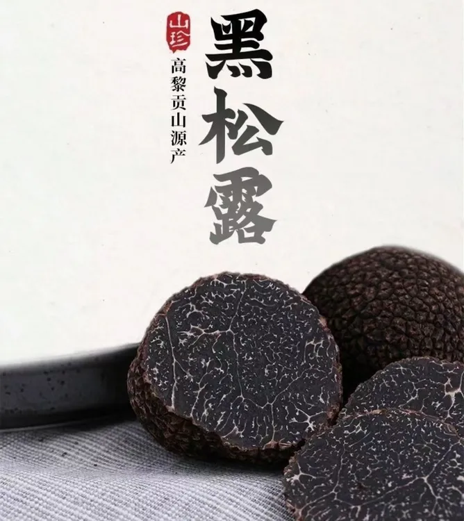 云南高黎贡山全黑黑松露鲍鱼云南黑松露规格齐全正宗白松露