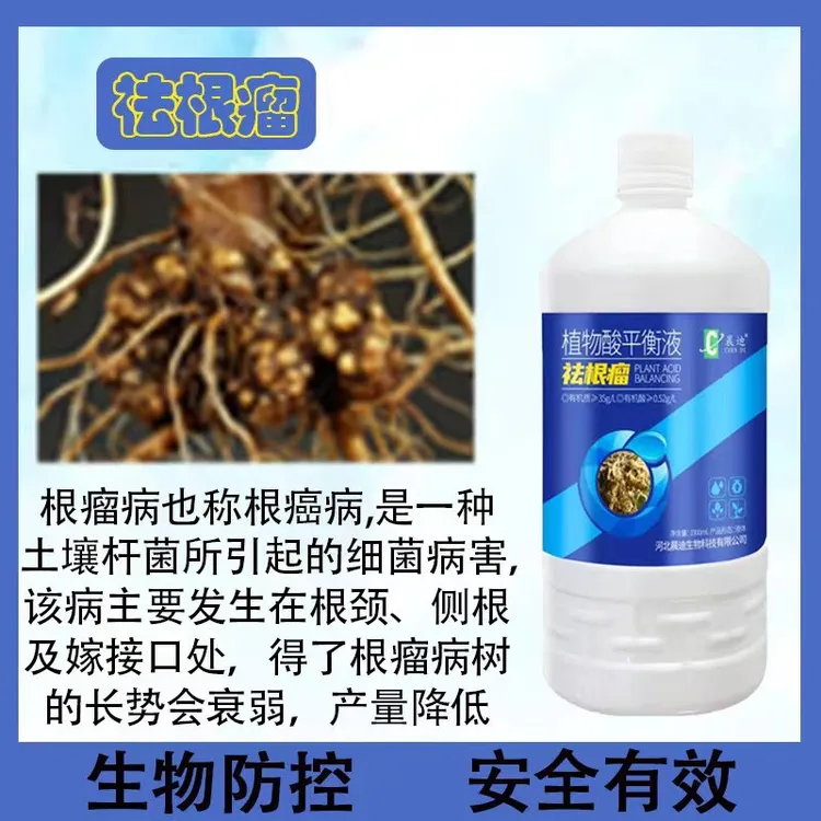 晨迪祛根瘤大樱桃专用强效分解根瘤菌养根恢复土壤果树清园