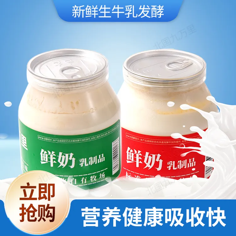北国九万里经典奶皮子老酸奶内蒙古牧场低温发酵酸甜580G