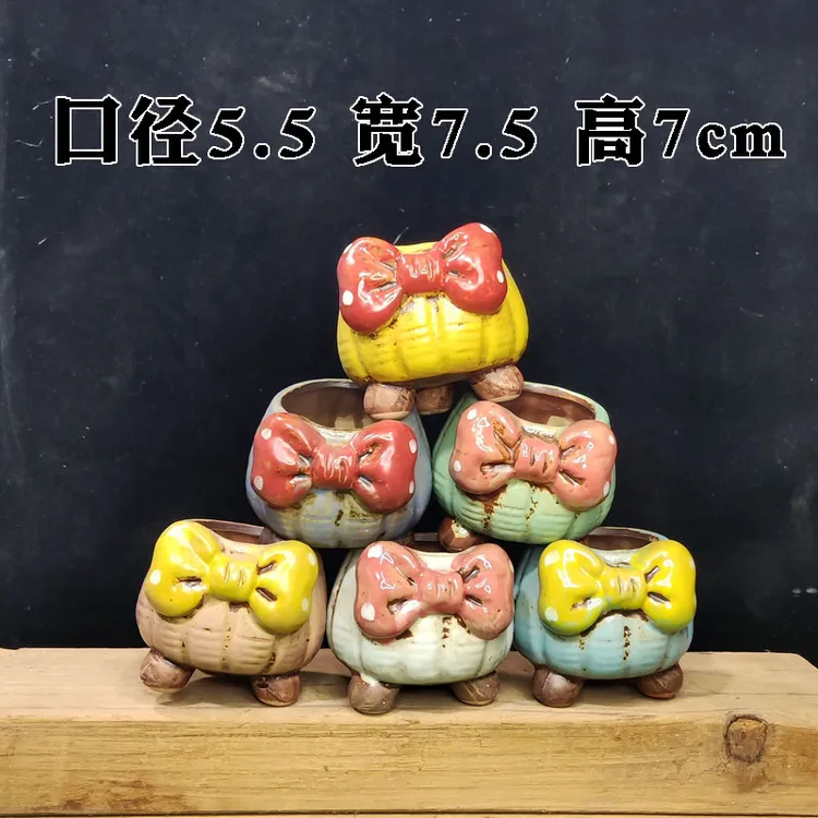 蝴蝶结小花盆小桩多肉植物花盆口径很小