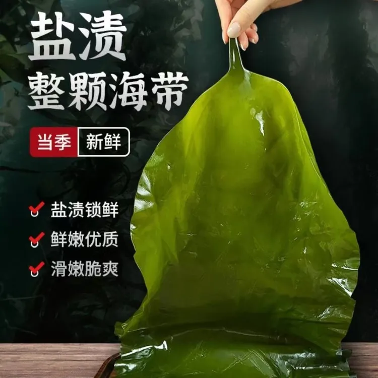 RD盐渍海带 含箱5斤  新鲜整颗 大连特产 当季新菜 凉拌饱饭 炖煮