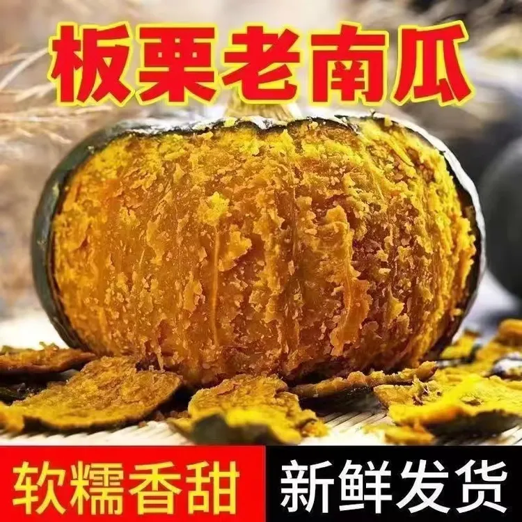 甘肃沙漠板栗南瓜民勤正宗板栗味老南瓜新鲜蔬菜应季现摘软糯干面