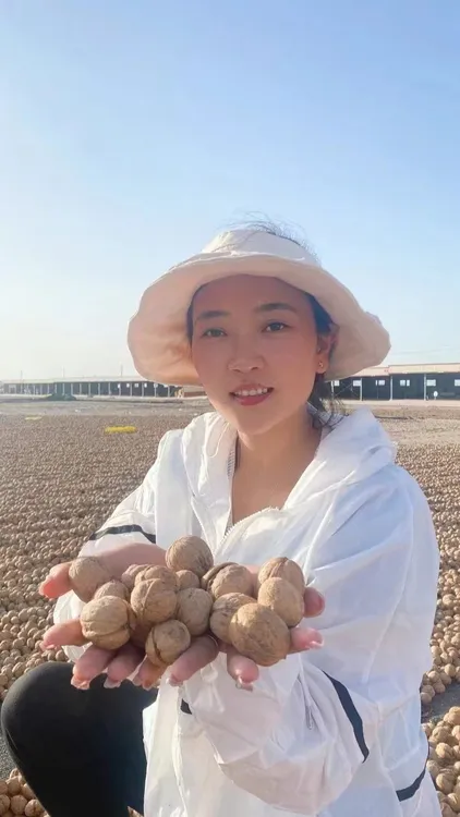 新疆和田纸皮核桃5斤