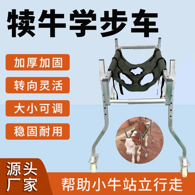 犊牛学步车牛犊学步康复车兽用起立架辅助站立辅助犊牛走路站立器