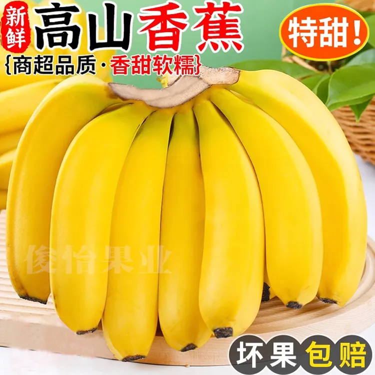 【粉丝福利】广西高山甜香蕉当季新鲜水果产地新鲜粉蕉甜糯1/5/10斤