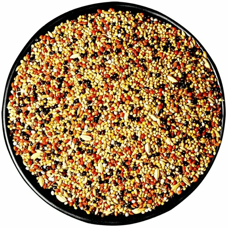 小型鹦鹉鸟粮混合饲料小太阳玄凤虎皮鸟食专用粮食五色黍子谷子粮