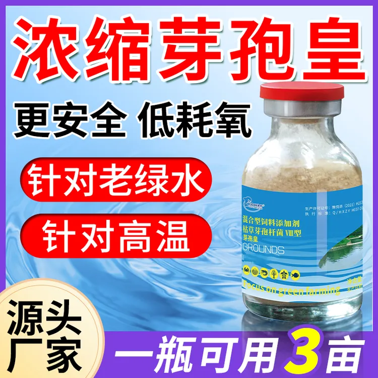 芽孢皇针对池塘老绿水超浓缩杆菌净水剂鱼缸净化养鱼澄清水质