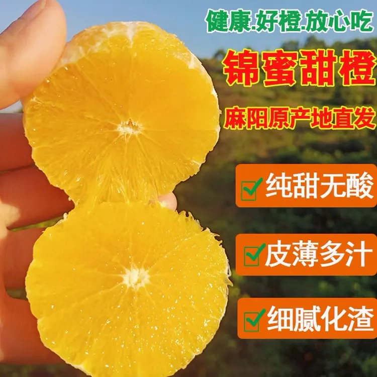 【正宗】麻阳锦蜜甜橙新鲜采摘产地直发应季孕妇水果礼盒装坏果包赔