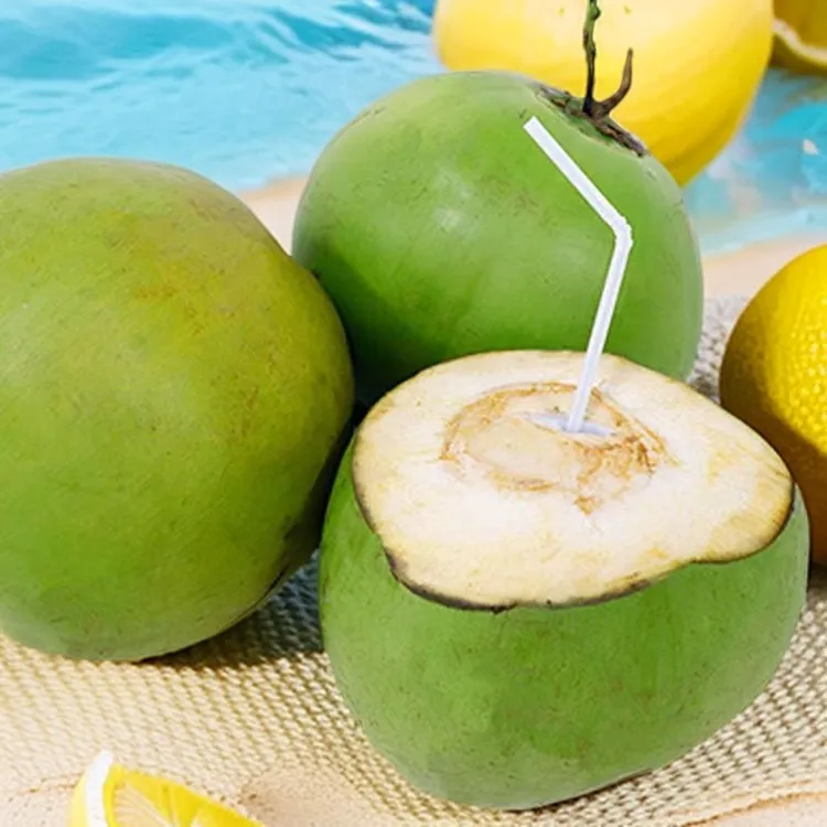 三海金芒【三亚直发带皮大果椰子】多汁爽口精品解渴椰子香清甜发货