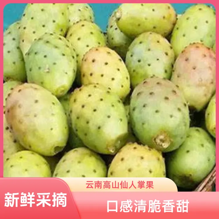 云南高山仙人掌果正宗新鲜精品香甜饱满产地口感新鲜采摘果园直发