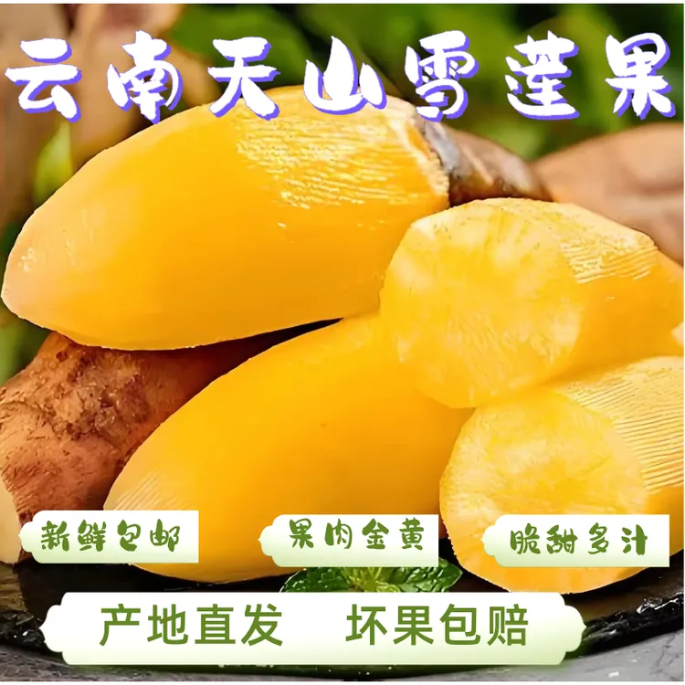 【纤果有约】  正宗云南天山雪莲果净重3-9斤装现挖现发（送削皮刀)