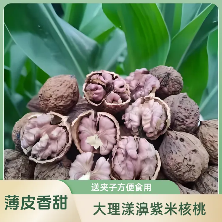 2025云南漾濞紫米核桃香甜无苦涩味干核桃坚果零食正宗薄皮核桃