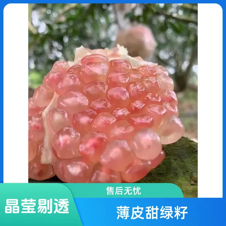 云南蒙自老树甜石榴水晶石榴绿籽薄皮多汁硬籽石榴蒙自石榴新鲜