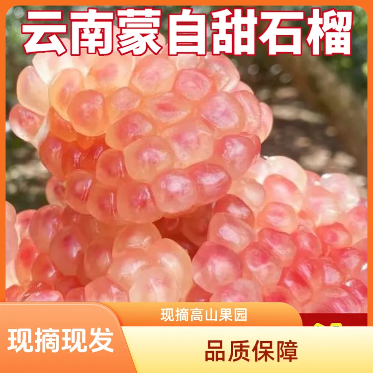 云南蒙自爆汁硬籽石榴老品种石榴当季新鲜水果清甜多汁