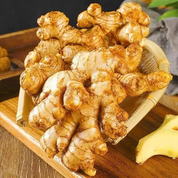 【今年老姜】正宗云南小黄姜新鲜现挖生姜老姜